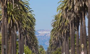 Hollywood Sign